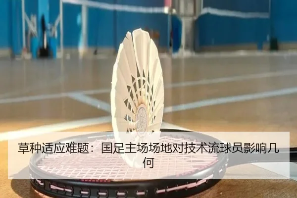 草种适应难题：国足主场场地对技术流球员影响几何